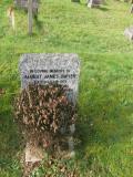 image of grave number 208796